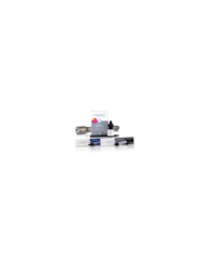 Blue Light Primer, 15 ml